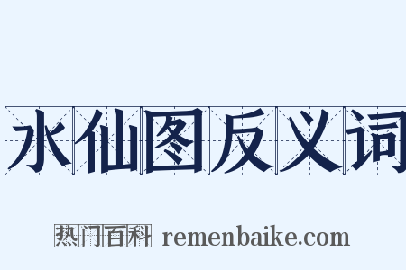 水仙图反义词是什么意思的图片